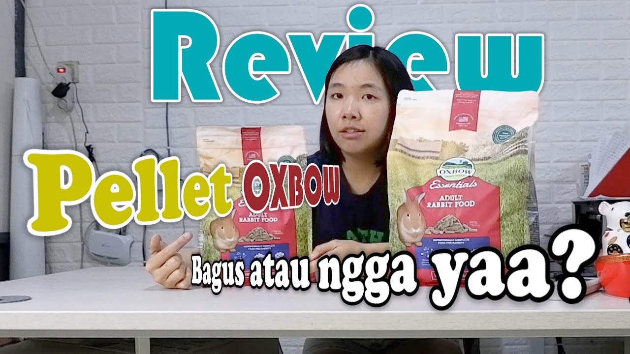 REVIEW PELLET KELINCI | OXBOW ADULT RABBIT FOOD