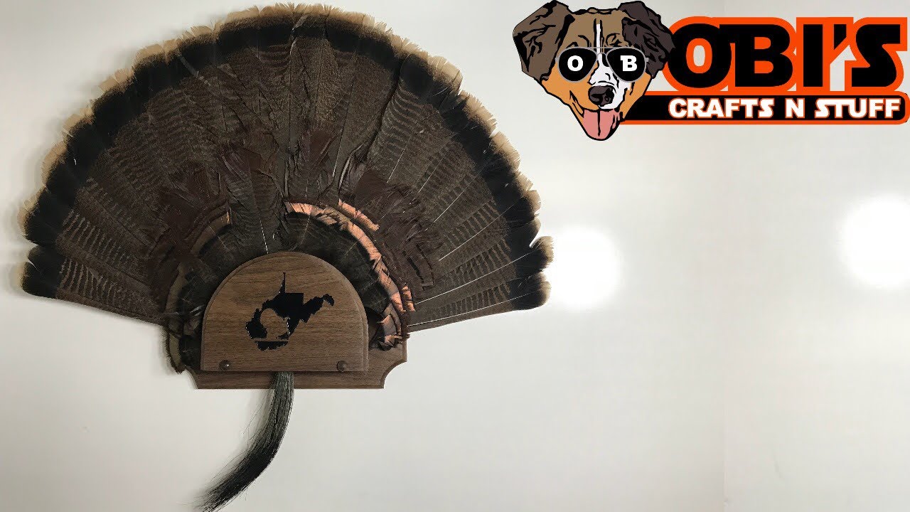 DIY Turkey Tail Holder/ Plaque Mount