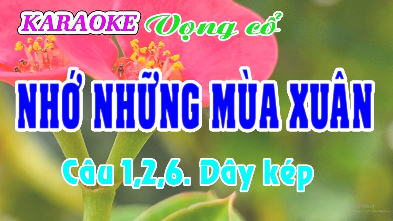 Karaoke _  Nhớ Những Mùa Xuân _  Dây Kép