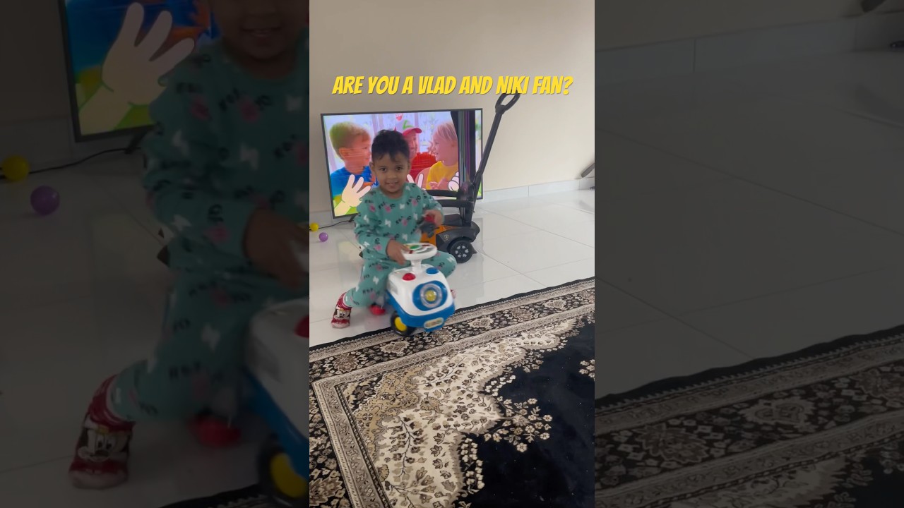 Are You a Vlad And Niki And Chris Kids Show Fan?! 