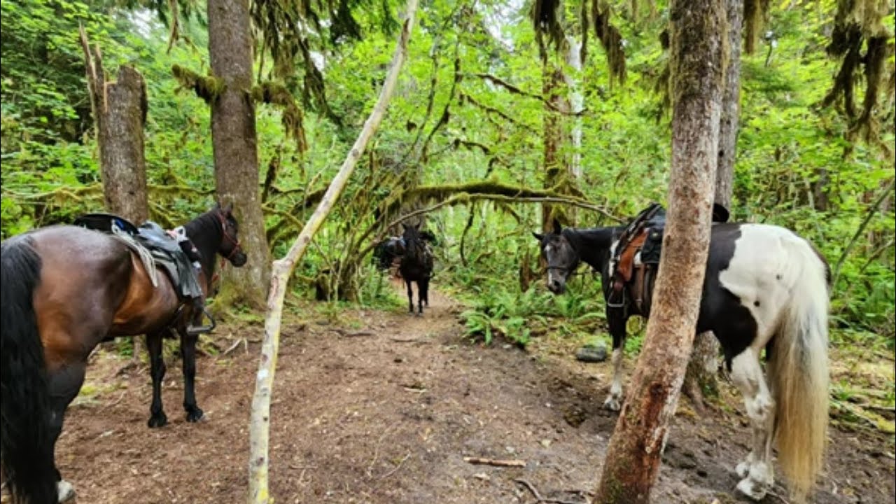 Kalama Fun Ride BCHW #followmyride