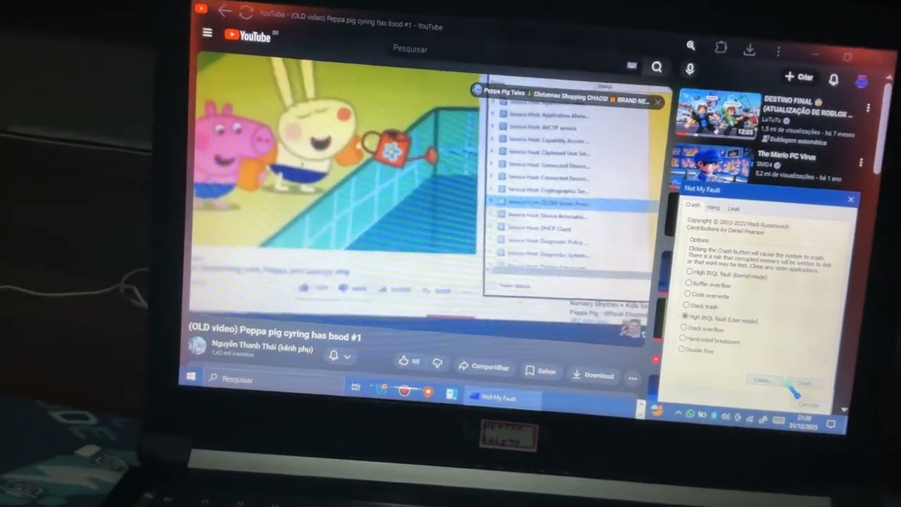 windows has bsod #2