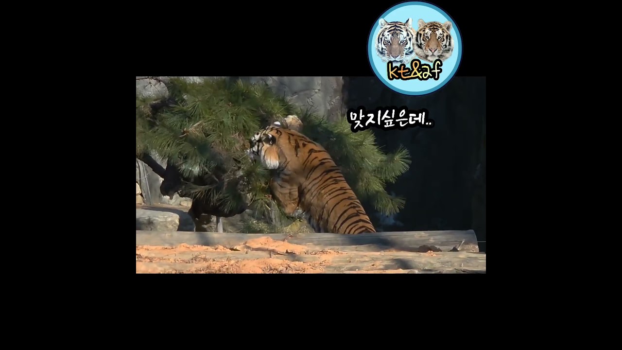 뭘찾는지 궁금하다~