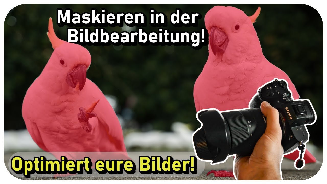 Bildbearbeitung | Maskieren f&uuml;r Anf&auml;nger! | Masken richtig verwenden | Luminar Neo