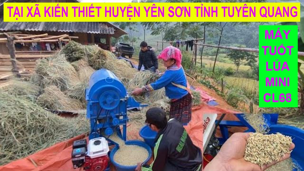 Máy tuốt lúa mini CL68 tại xã Kiến Thiết Yên Sơn Tuyên Quang
