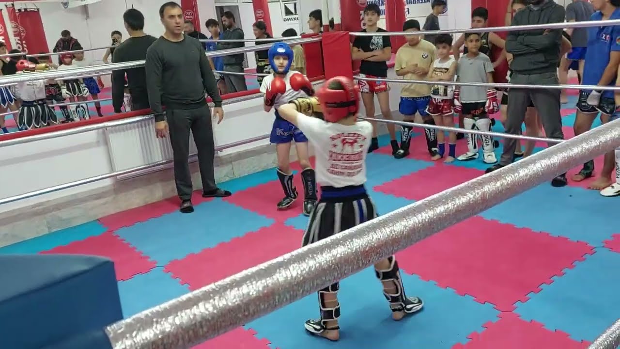 Şahin Quluyev Kolizey club yoldaşlıq görüşü 23 noyabr 2025