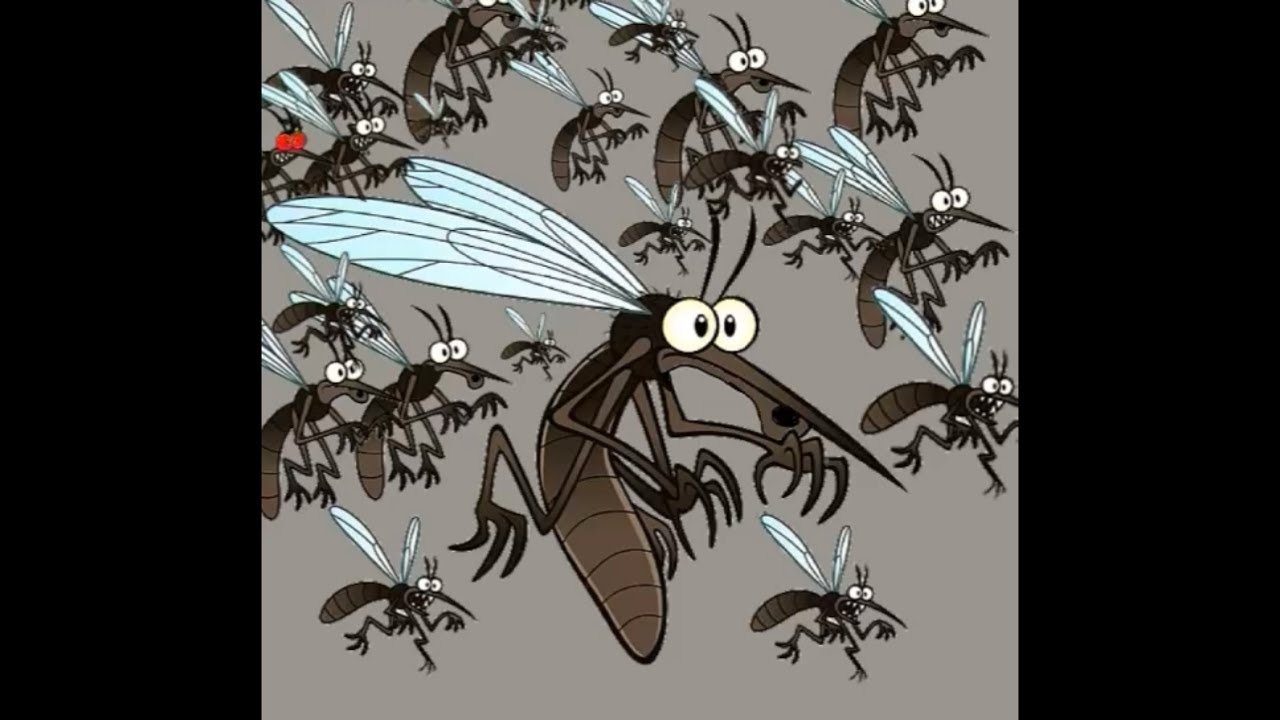 Amoyo Mwee Mosquito🎼🎧🥁🥰🦟🦟🦟 Version Lingala🇨🇩🇨🇩 Mapeka solo | Kende ko Nika Mapeka nayo