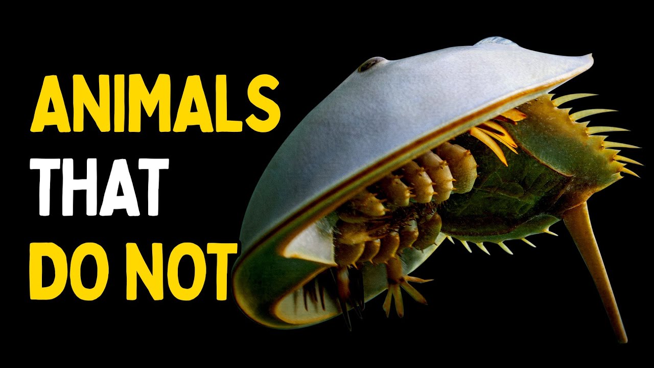 7 Animals That Broke the Rules of Death | Science Explained