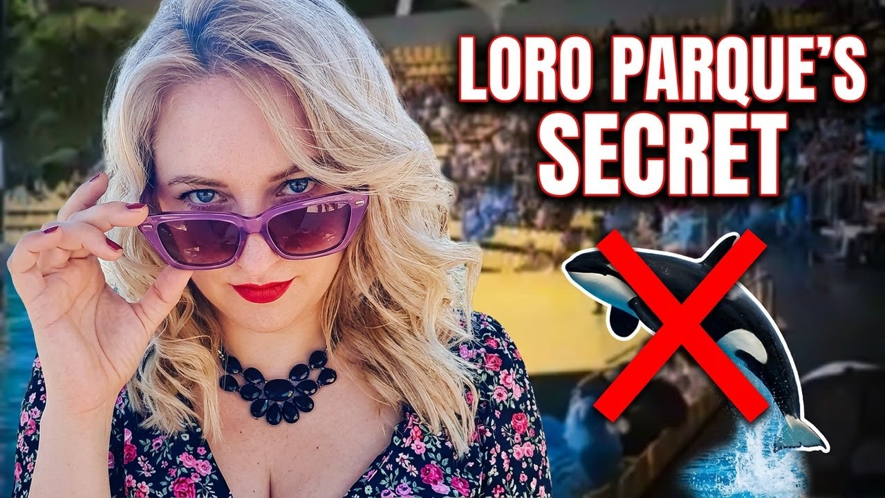 Loro Parque Exposed: What They Don't Want You to See