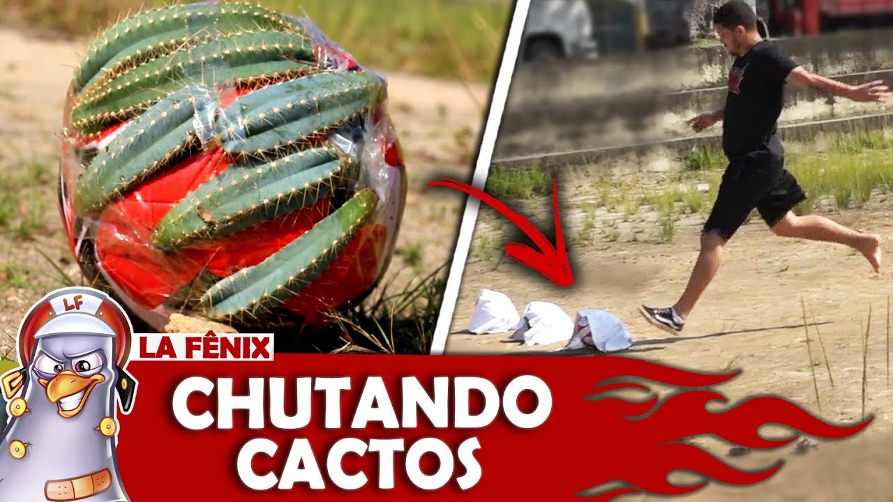 DESAFIO DO CHUTE SURPRESA COM BOLA DE CACTOS