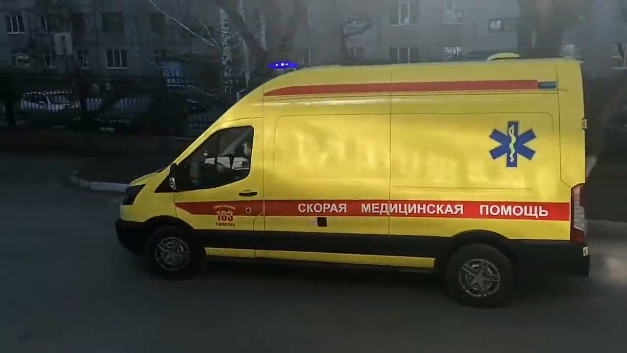 Любимая 03 Тюмень