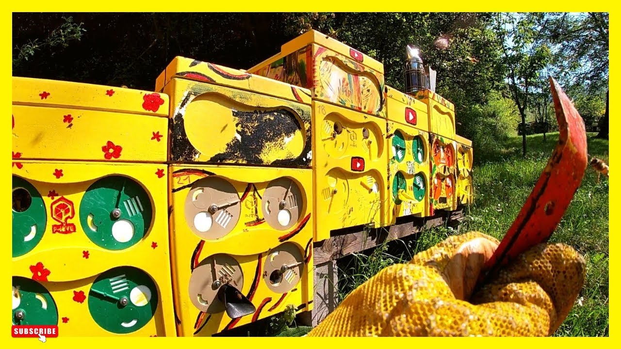 Apicoltura || apiario P-HIVE a bomba !!