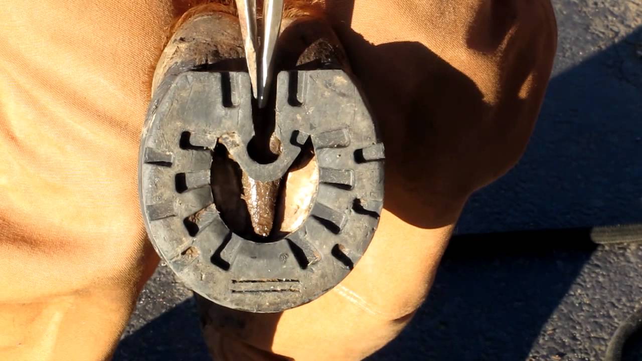 Heel Expansion and Contraction in the EasyShoe