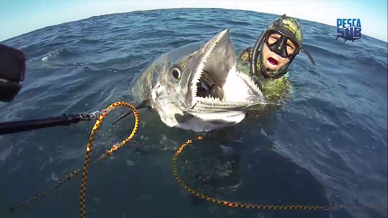 DVD Pesca Sub em Moçambique, por Diego Sanriago