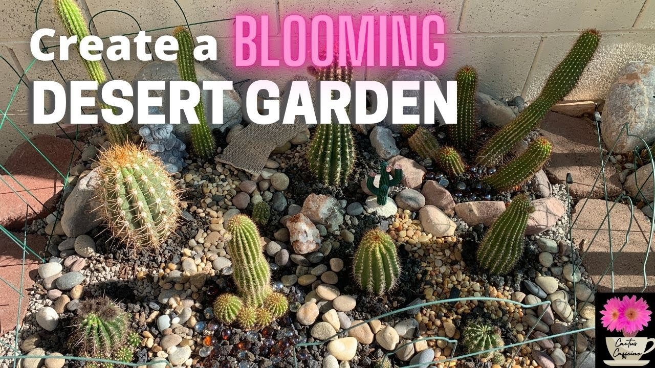 I Created a Cactus Garden using all Blooming Cacti | #cactusgarden