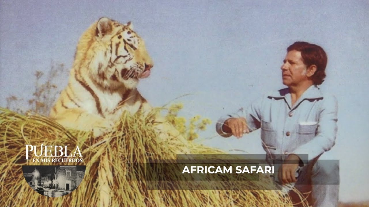 PUEBLA EN MIS RECUERDOS - AFRICAM SAFARI