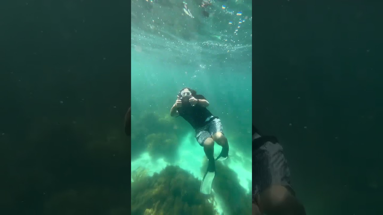 First Shore Freedive at Hyams Beach Jervis Bay on our GoPro & Underwater Culture photography retreat