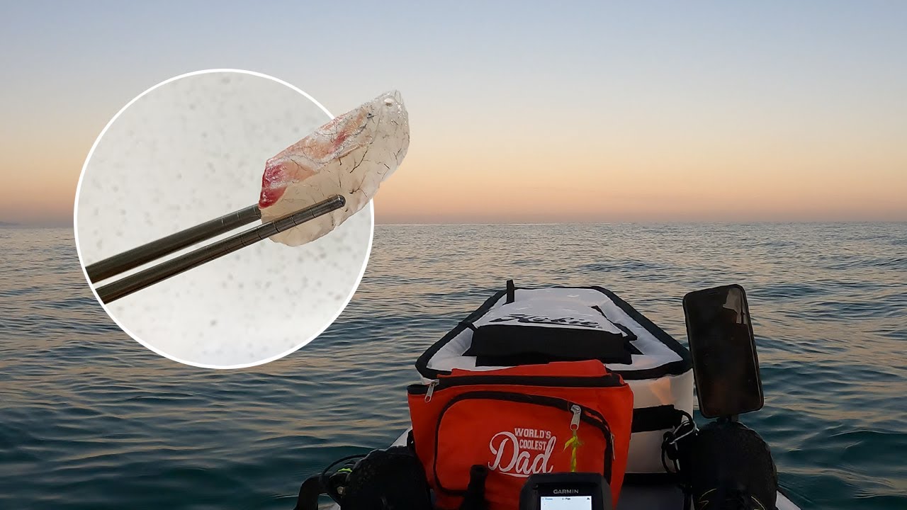 Kayak fishing Mount Martha, Mornington Peninsula  - I make sashimi!