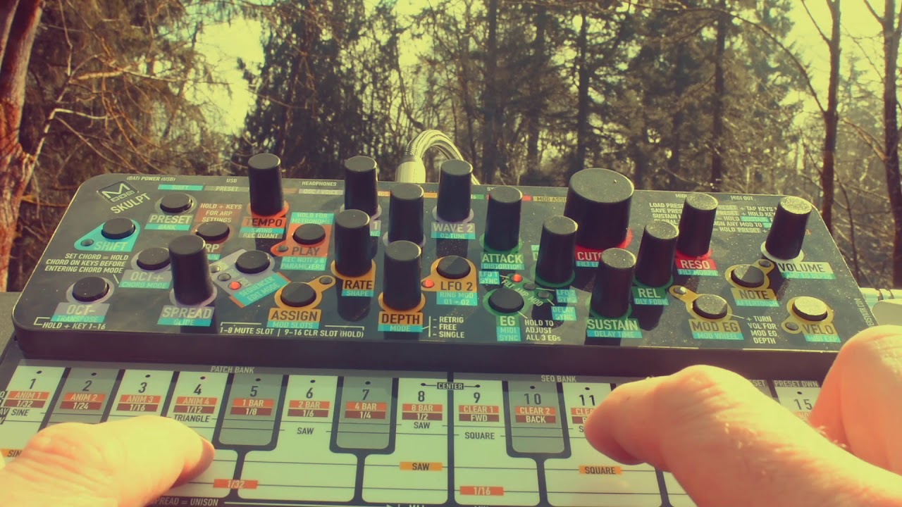 Distorientation   Model Skulpt Soundpack