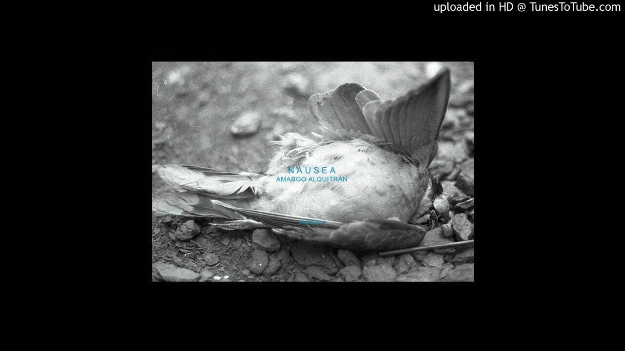 N&aacute;usea - Sierpe Desnuda