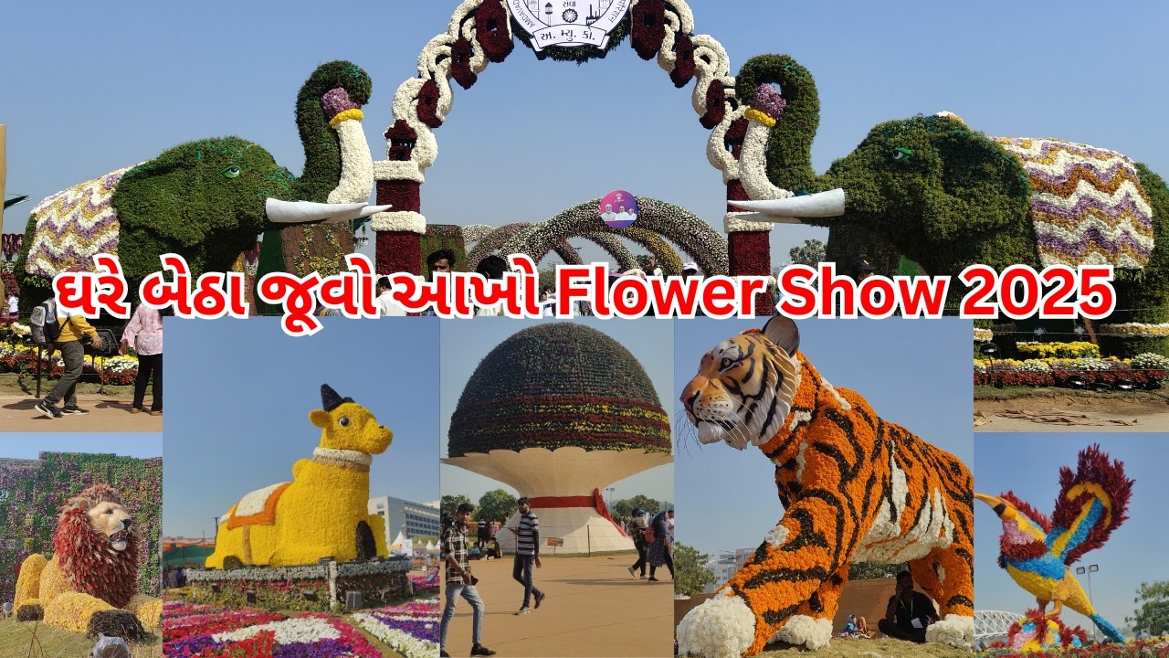 Don't Miss Ahmedabad's BIGGEST 2025 Flower Show - અમદાવાદ ફ્લાવર શો 2025