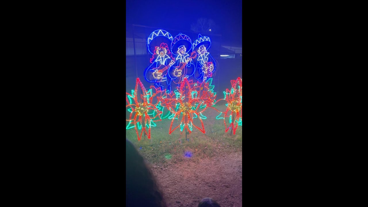 Christmas lights and family fun!