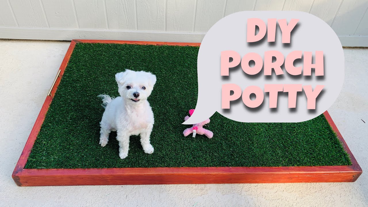 HOW TO: Build a DIY Dog Porch Potty / Easy and Simple DIY Porch Potty