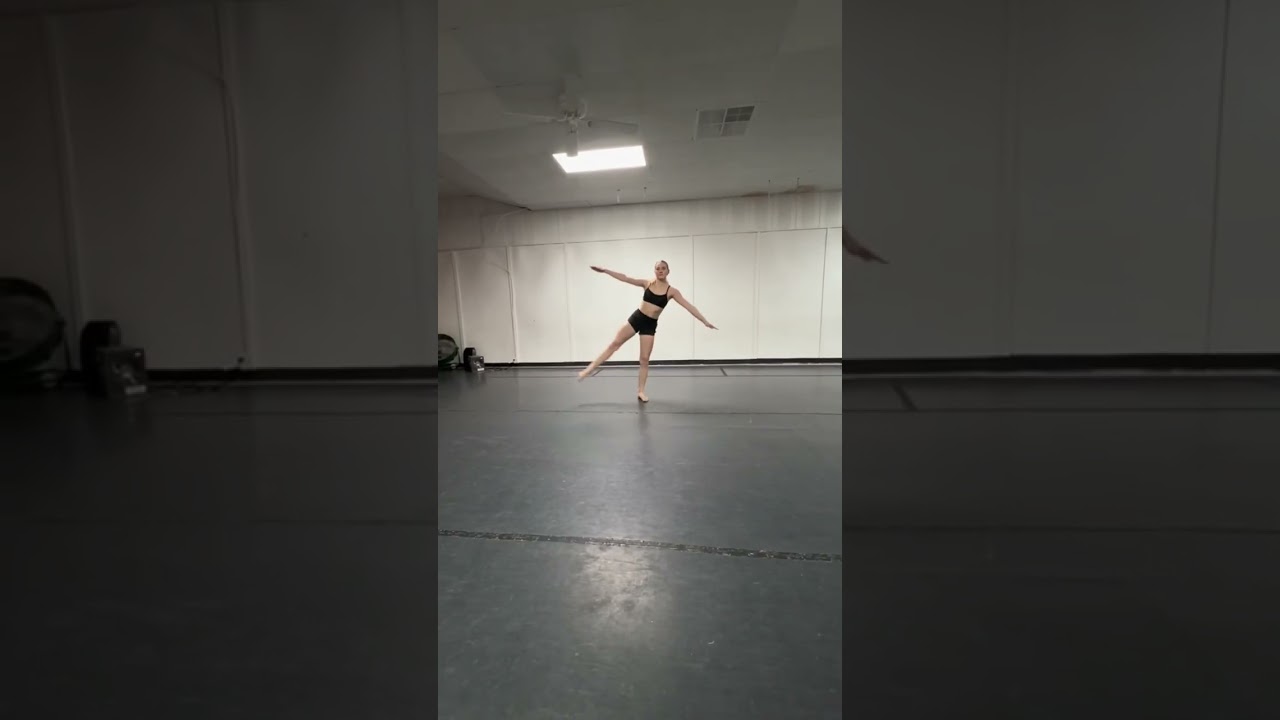 Classy cat audition