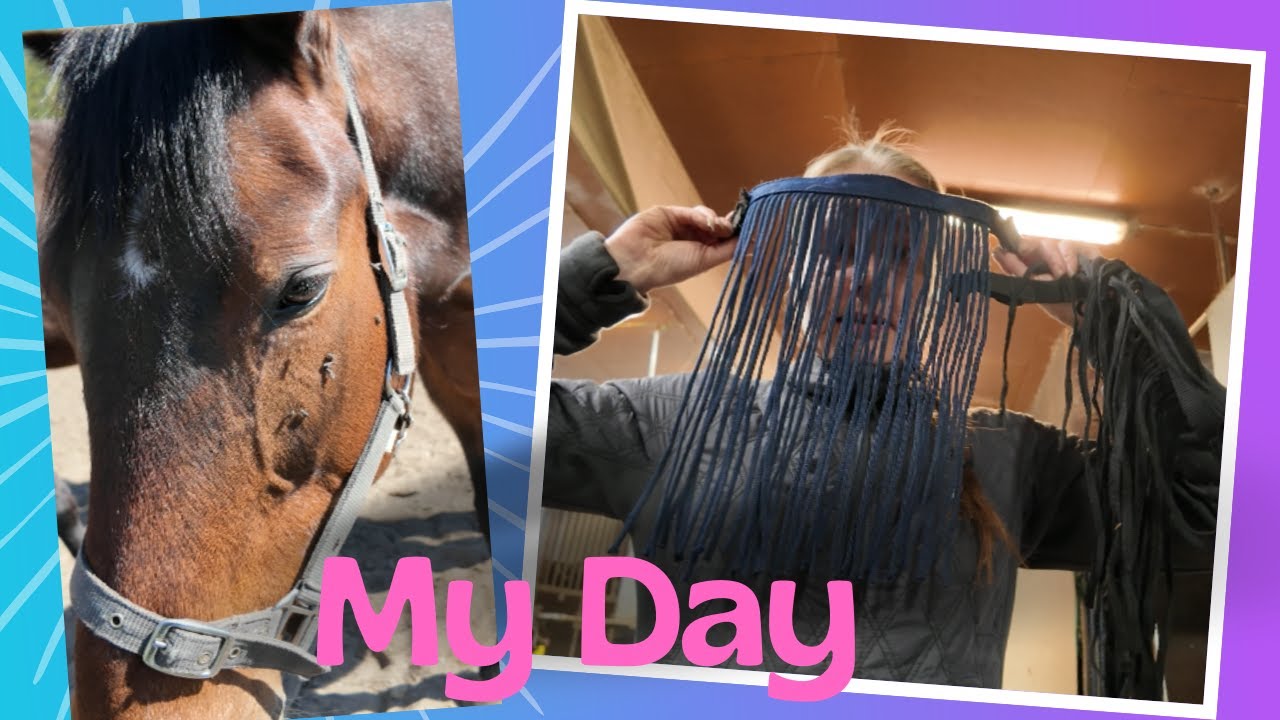 My Day toukokuulta || Tavallinen arkipäivä