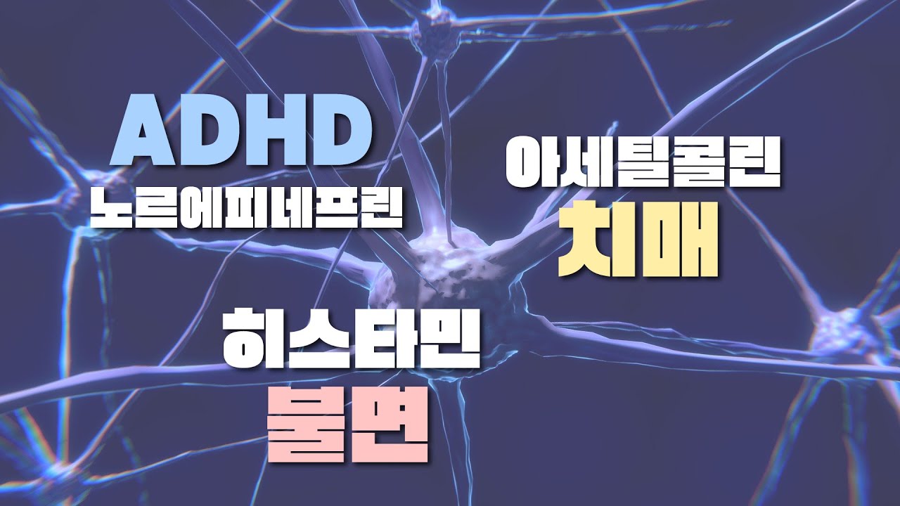 우리 뇌에 중요한 신경전달물질, 노르에피네프린 히스타민 아세틸콜린