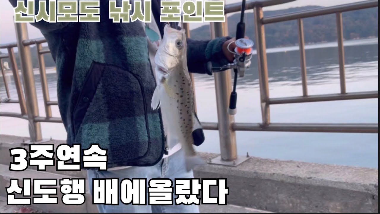 신시모도 (신도,시도,모도) 낚시 포인트 망둥이 잡으러 왔다 감성돔 , 우럭 , 점농어