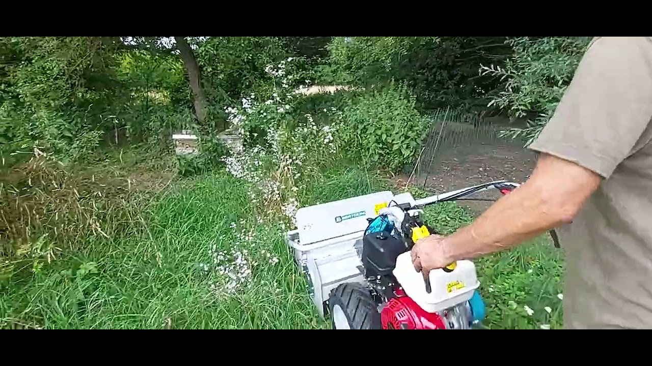 Bertolini BTS 65 Schlegelmulcher