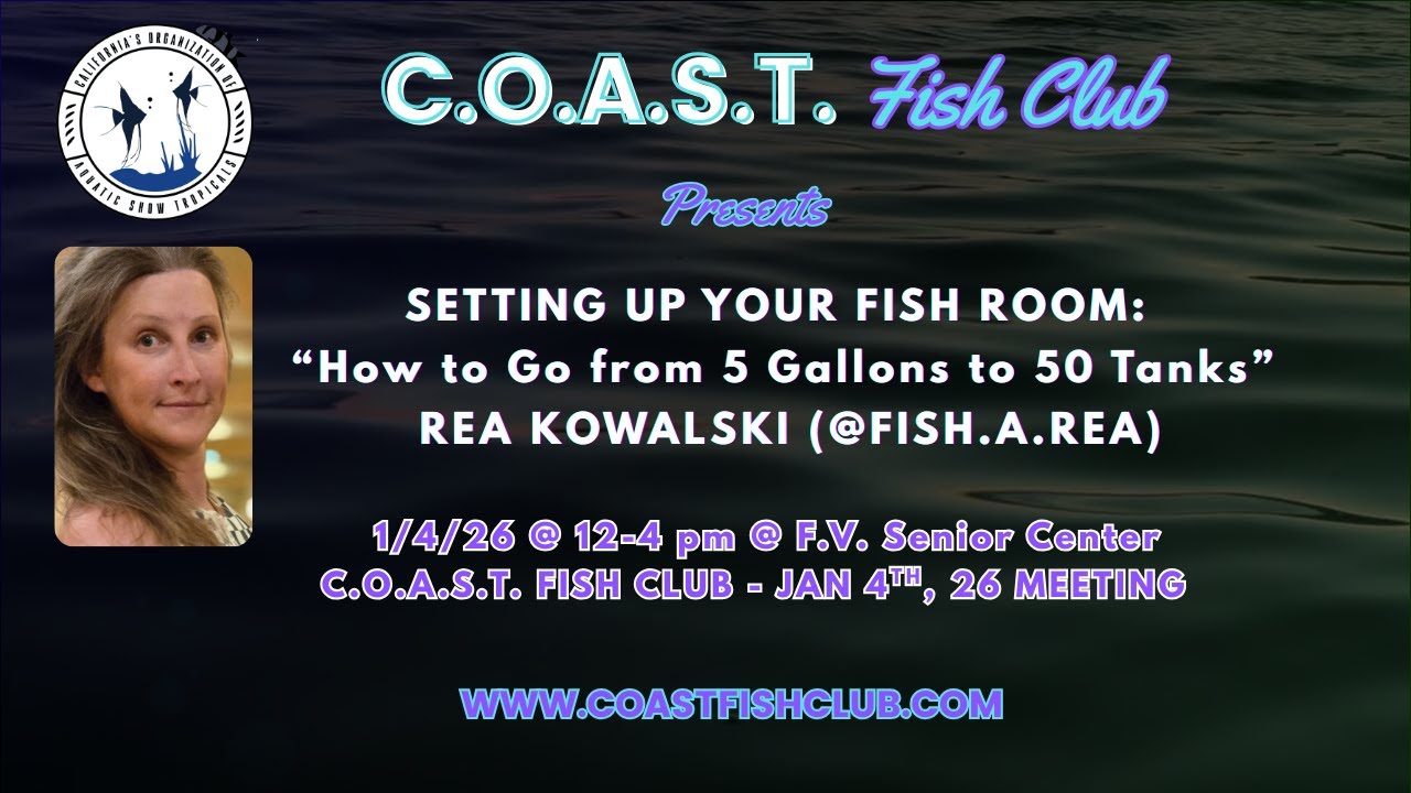 SETTING UP YOUR FISH ROOM presented by REA KOWALSKI @FISH.A.REA - COAST FISH CLUB - Sunday 1/4/26