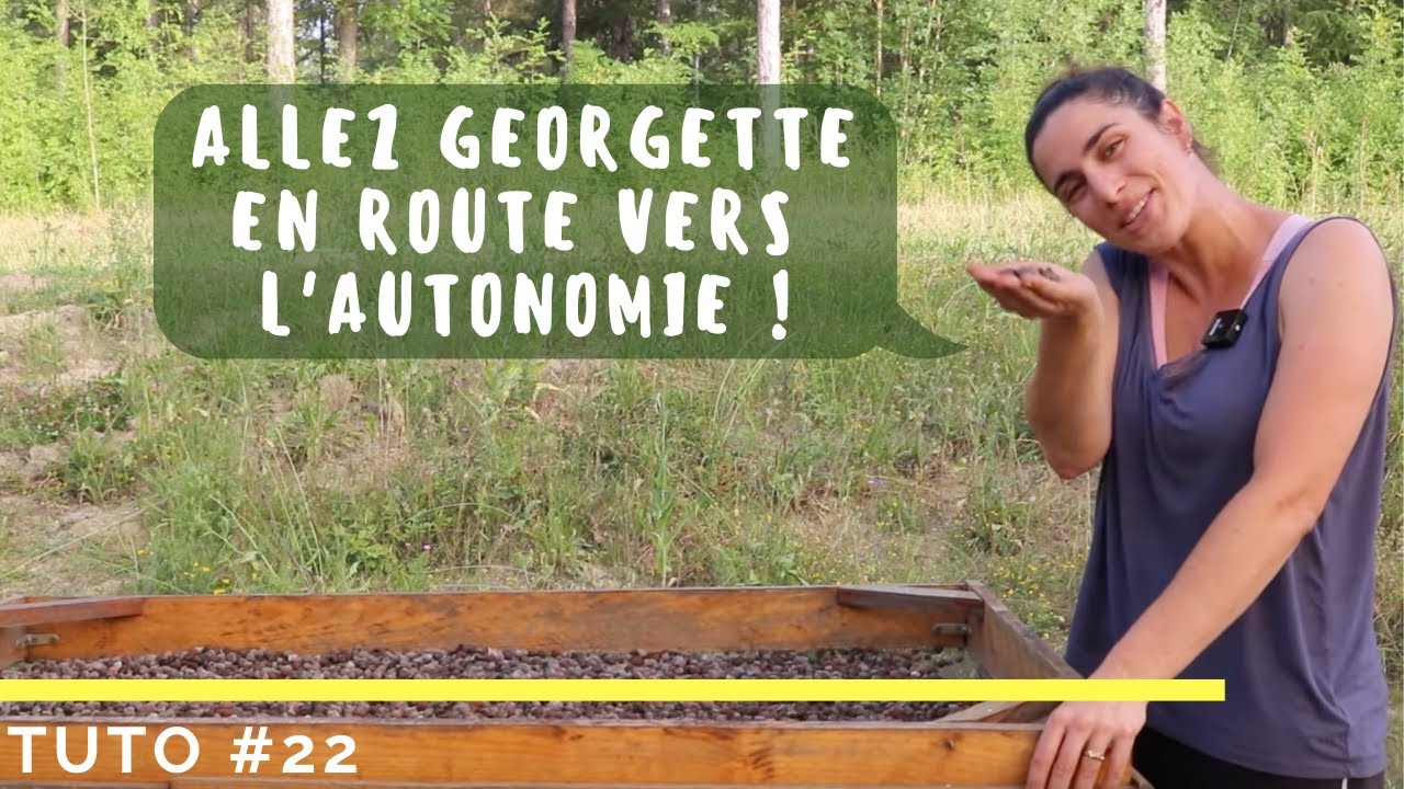 Comment réutiliser son support de culture à l'infini pour 0 euros ? #TUTO
