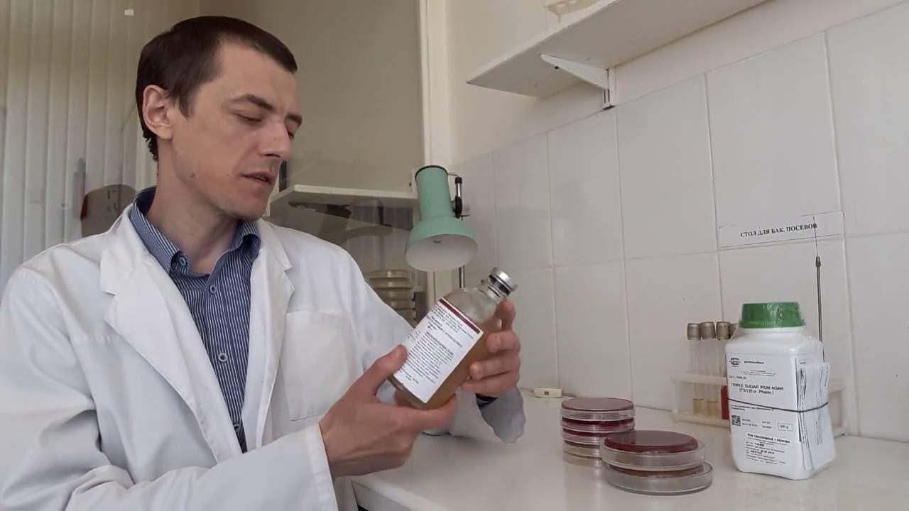 Питательные среды для микробиологии. Часть 1. Основные сведения