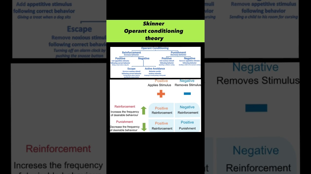 Skinner theory of operant conditioning || #ctet2023 #ctetpreparation #viral #governmentexam