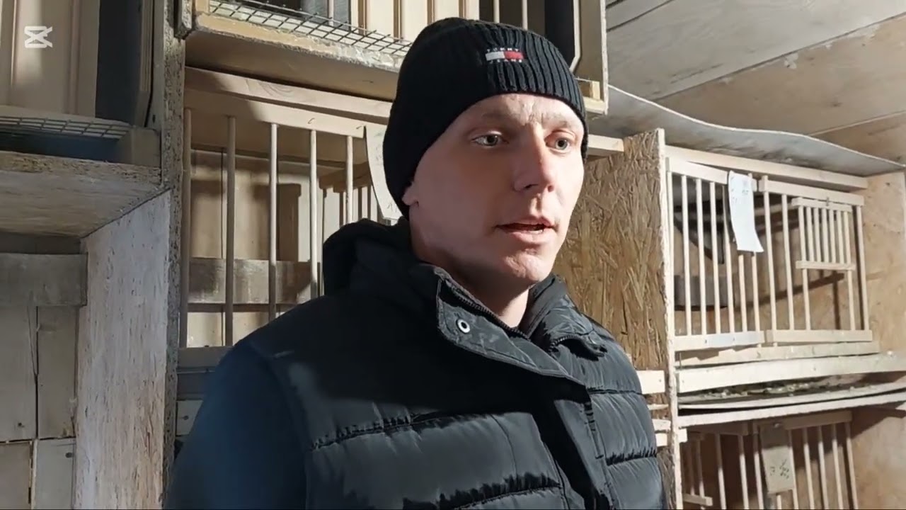 Piotr & Bogdan Deleżuch 🎥 PZHGP 09 Radzyń Podlaski Mistrzowie Okregu Biała Podlaska GMP 2023/2024🏆🏆🕊
