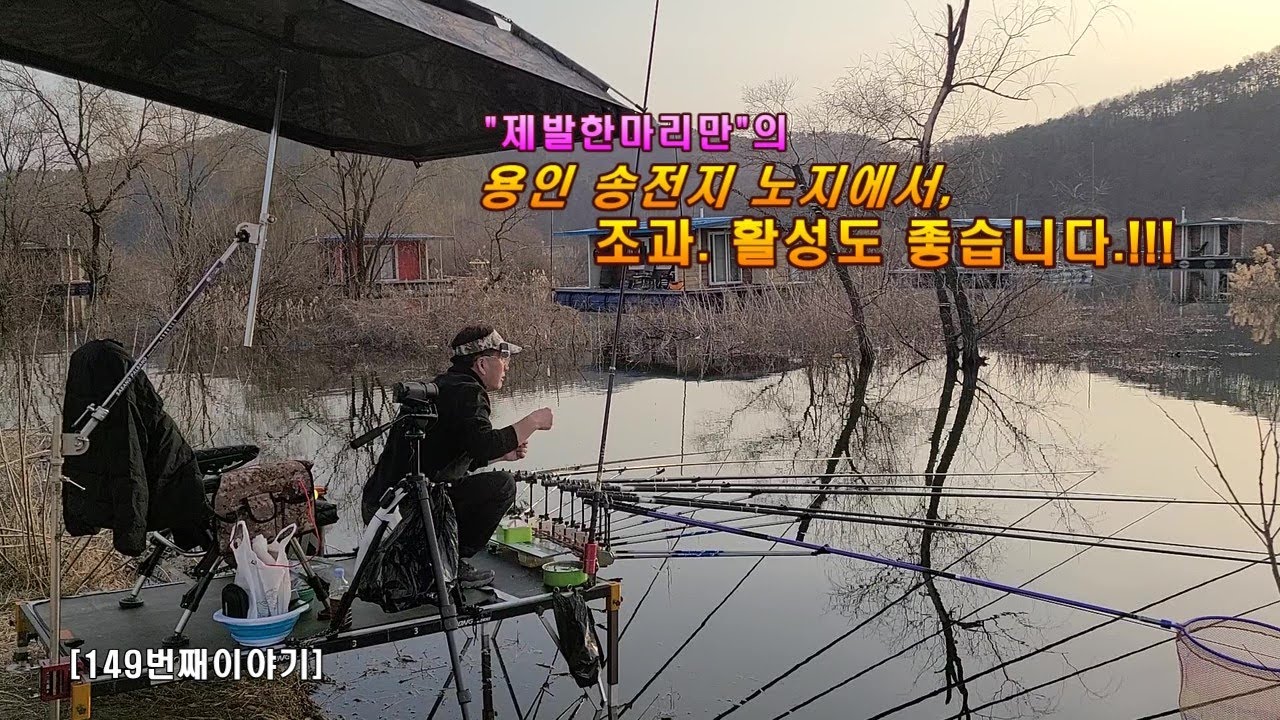 용인 송전지 노지에서...조황, 활성도 좋습니다.[149번째 이야기]