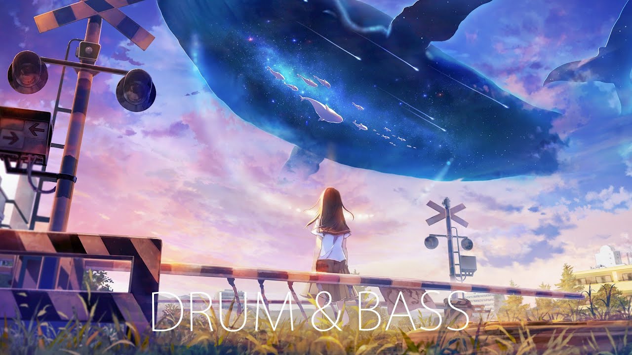 KuMO - Summer Diver
