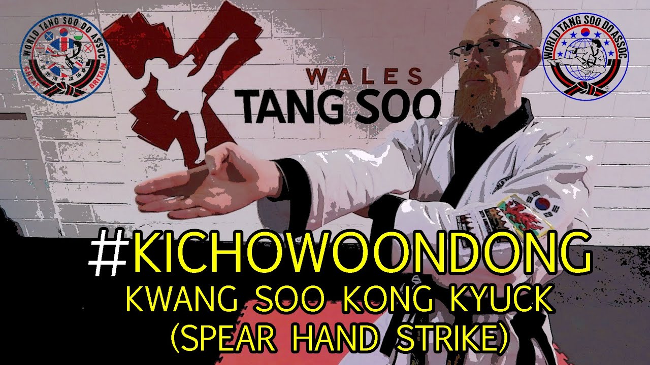 Ki Cho Woon Dong - Spear Hand Strike Tutorial
