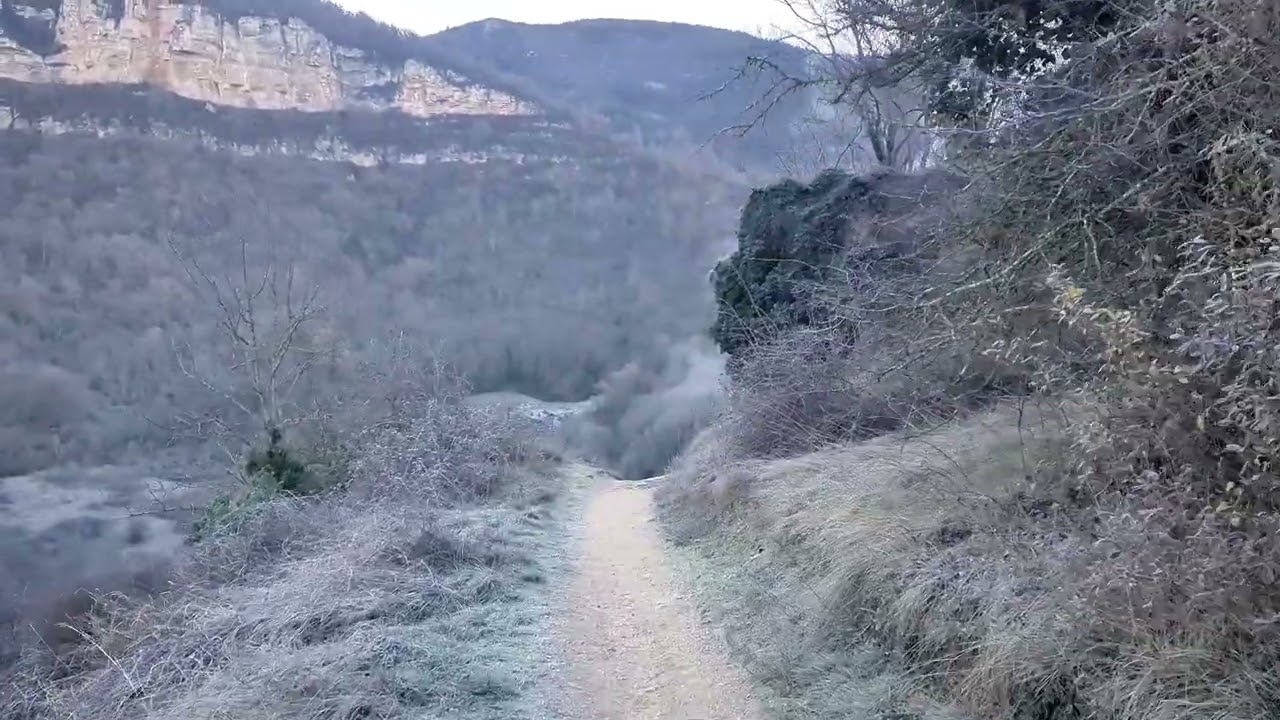 Découverte de la Cascade de Creissels : un paradis naturel