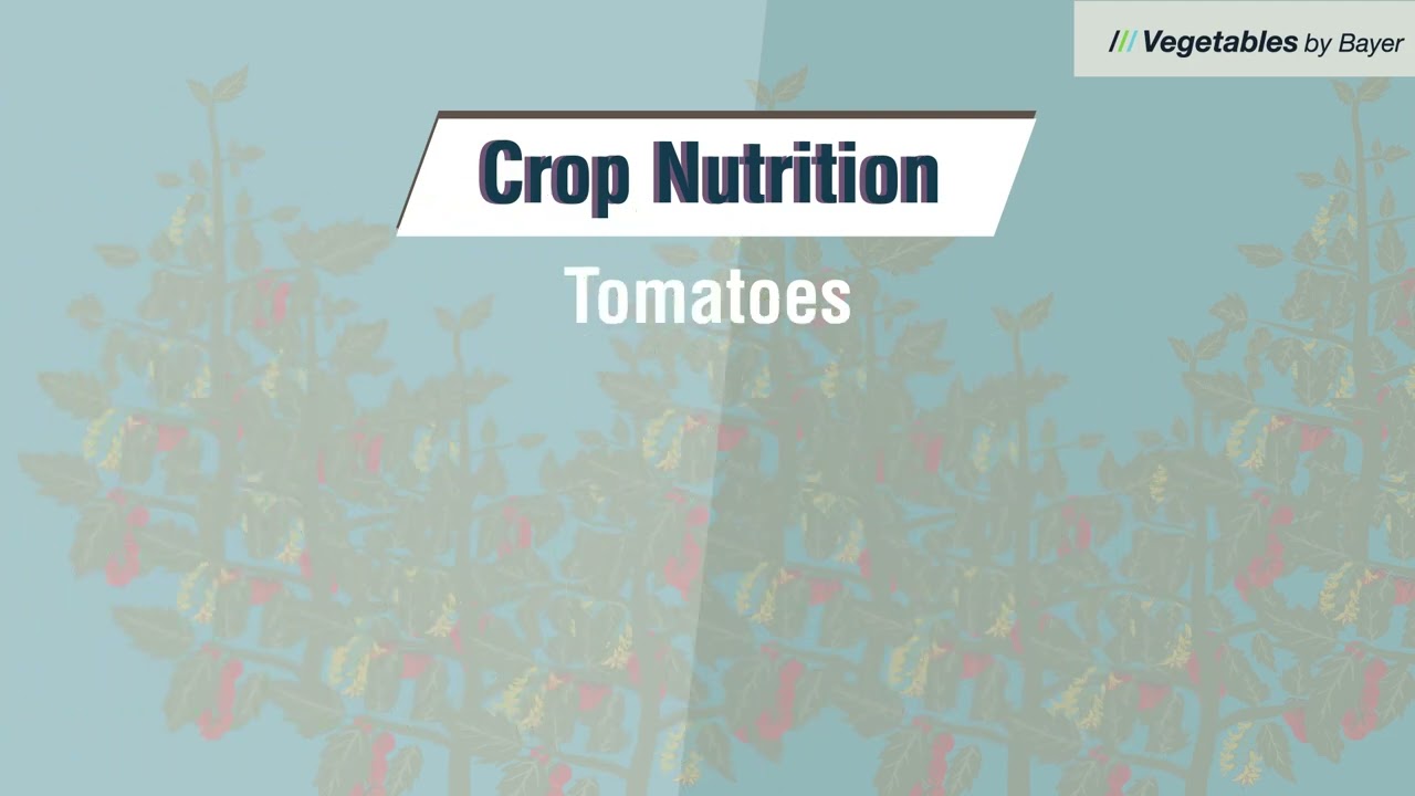 Crop Nutrition