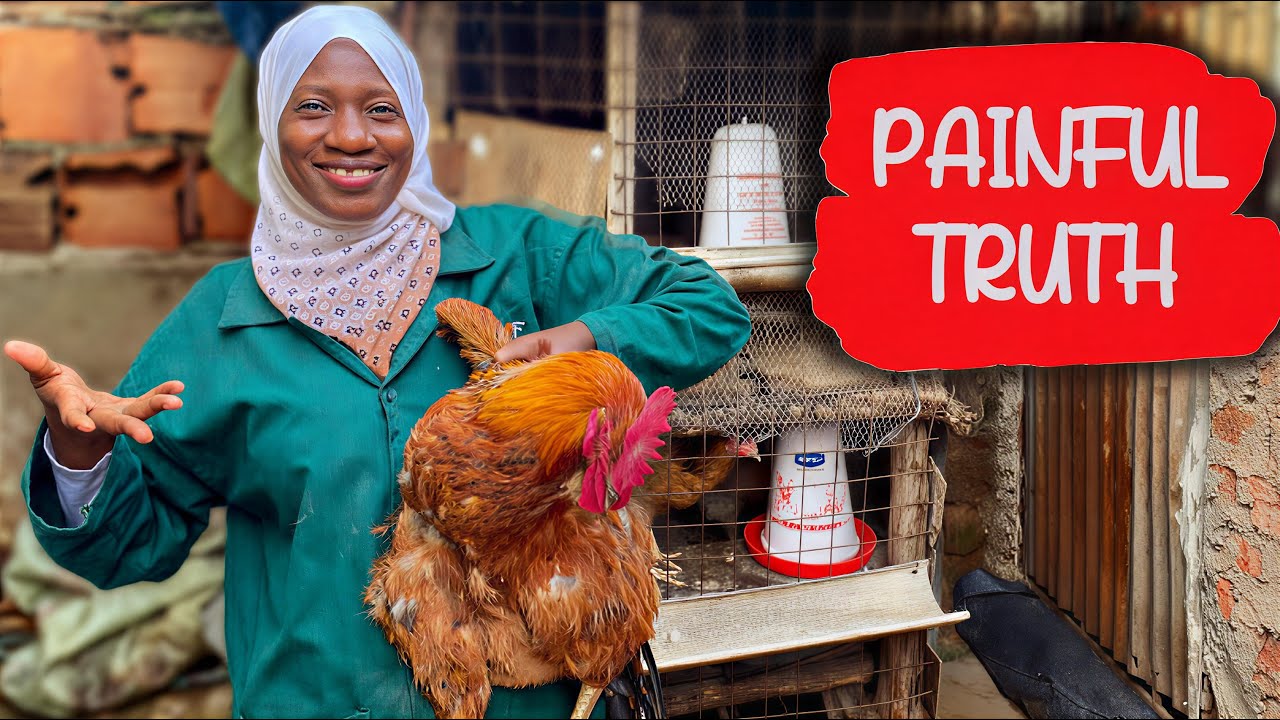 POULTRY FARMING LIED TO US!!! Why QUICK MONEY Is DESTROYING Farmers…