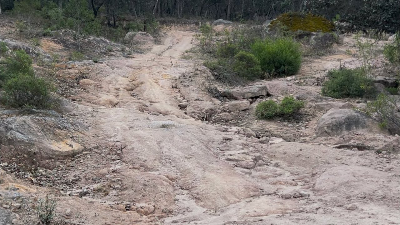 El Camino está espantoso no se si pase la Toyota 