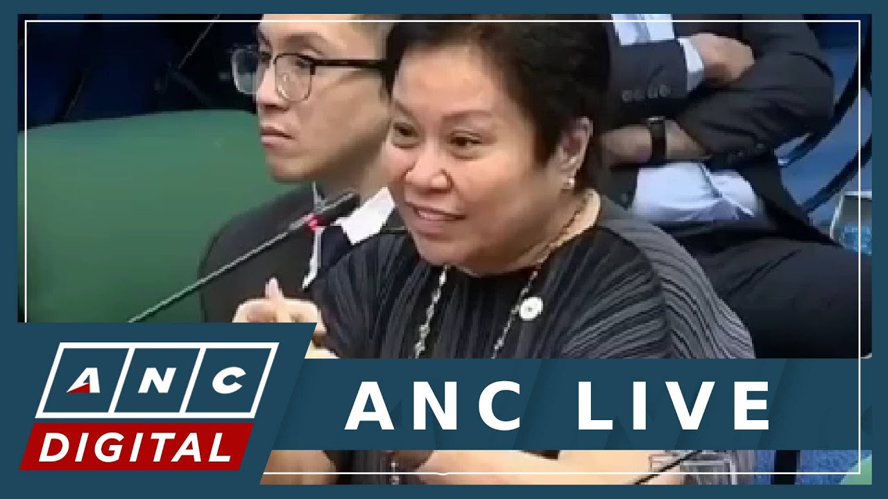 Kim Henares flags no limit to BIR 'Letter of Authority' allowing abuse of audits | ANC