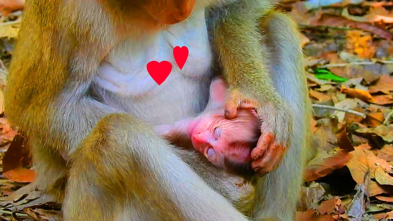 Hard to believe Katrina is uncomfortable to breastfeeding newborn Kendra, Katrina reject Kendra milk