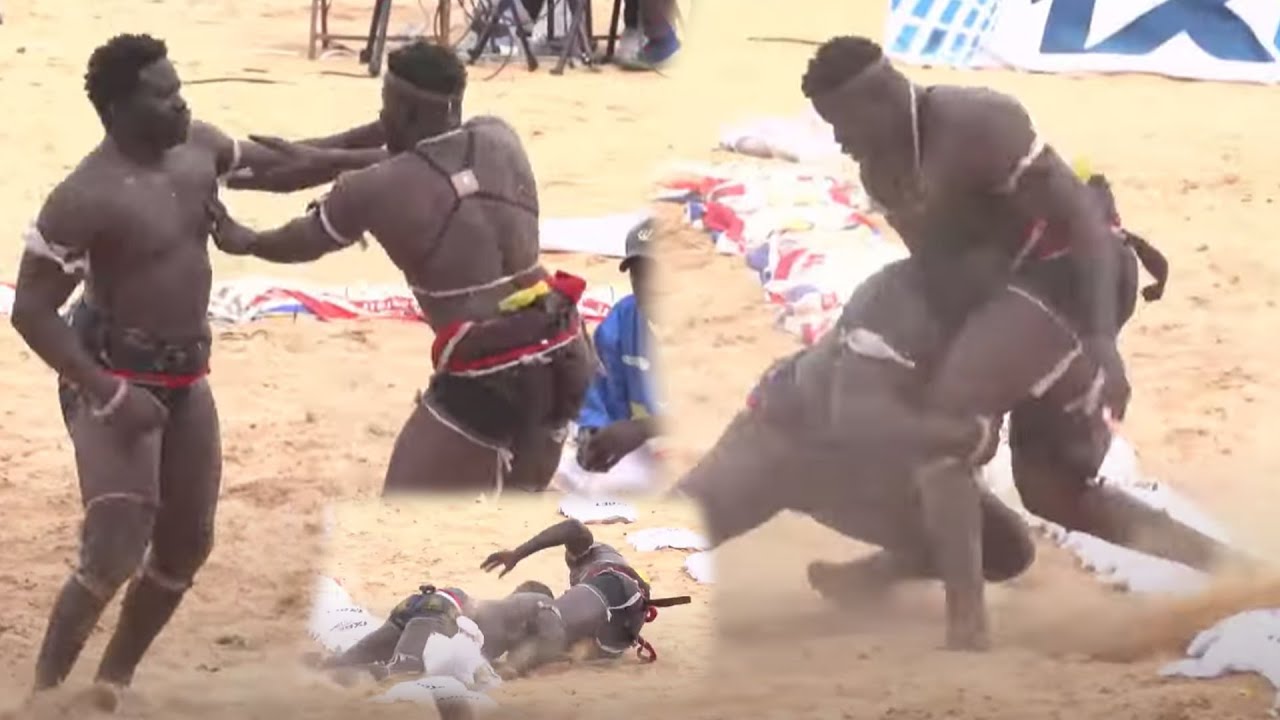 Vite fait bien fait , Petit baye fall daan nako diél bou gaw Holly guns