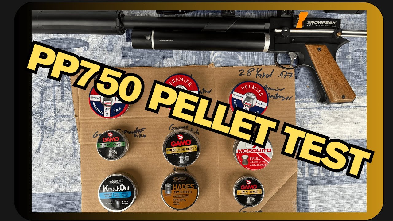 Snowpeak PP750 PELLET TEST 2