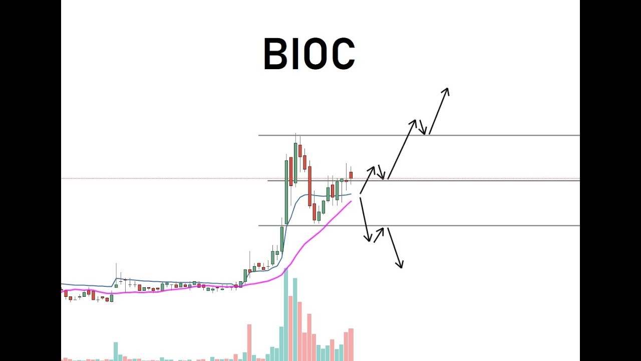 Biocept - BIOC Stock Chart Technical Analysis 3/14/2019