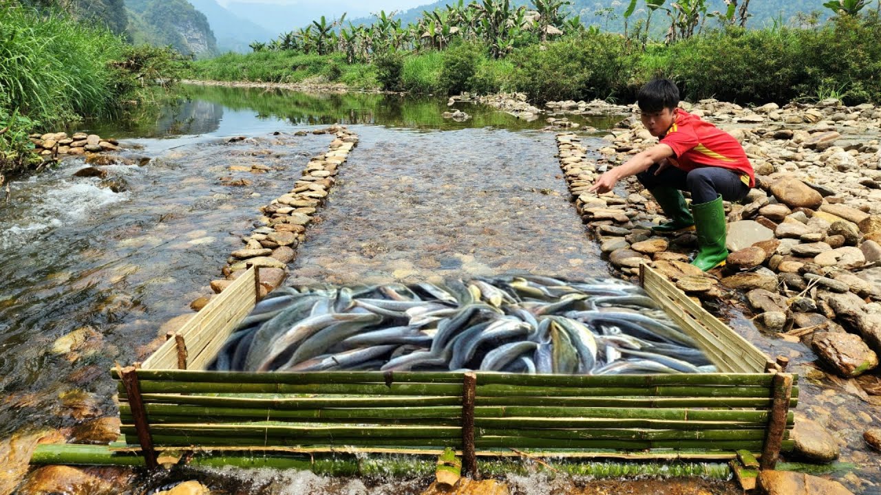 The boy Lam skillfully used bamboo to make a fish trap in a large stream.